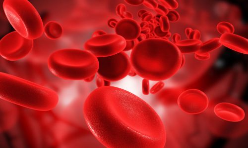 blood group, blood cells