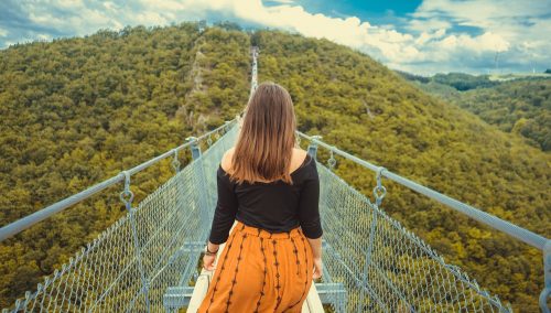 Adventure back view bridge