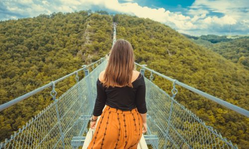 Adventure back view bridge