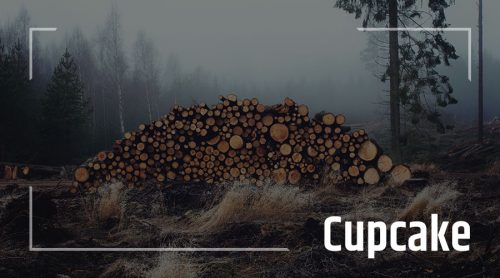 Cupcake