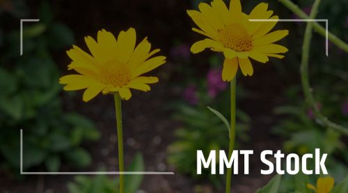 MMT Stock