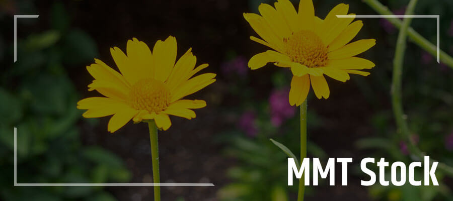 MMT Stock